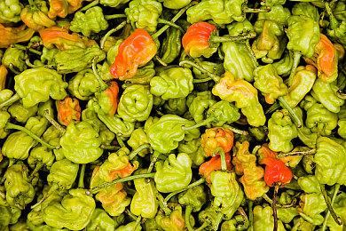 《神都不良探》上架Steam S级古装探案互动影游